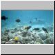 2002-04-19 L02 Snorkeling.jpg